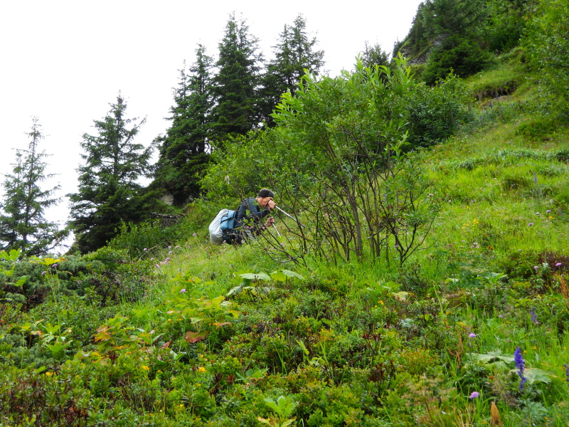 Aufstieg zur Rotstockhütte